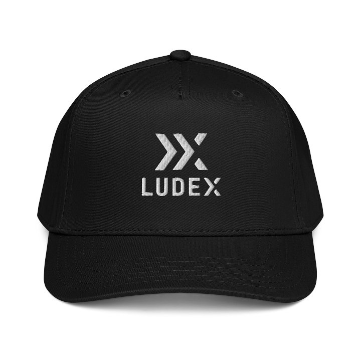 Black & White Ludex Hat product image (1)