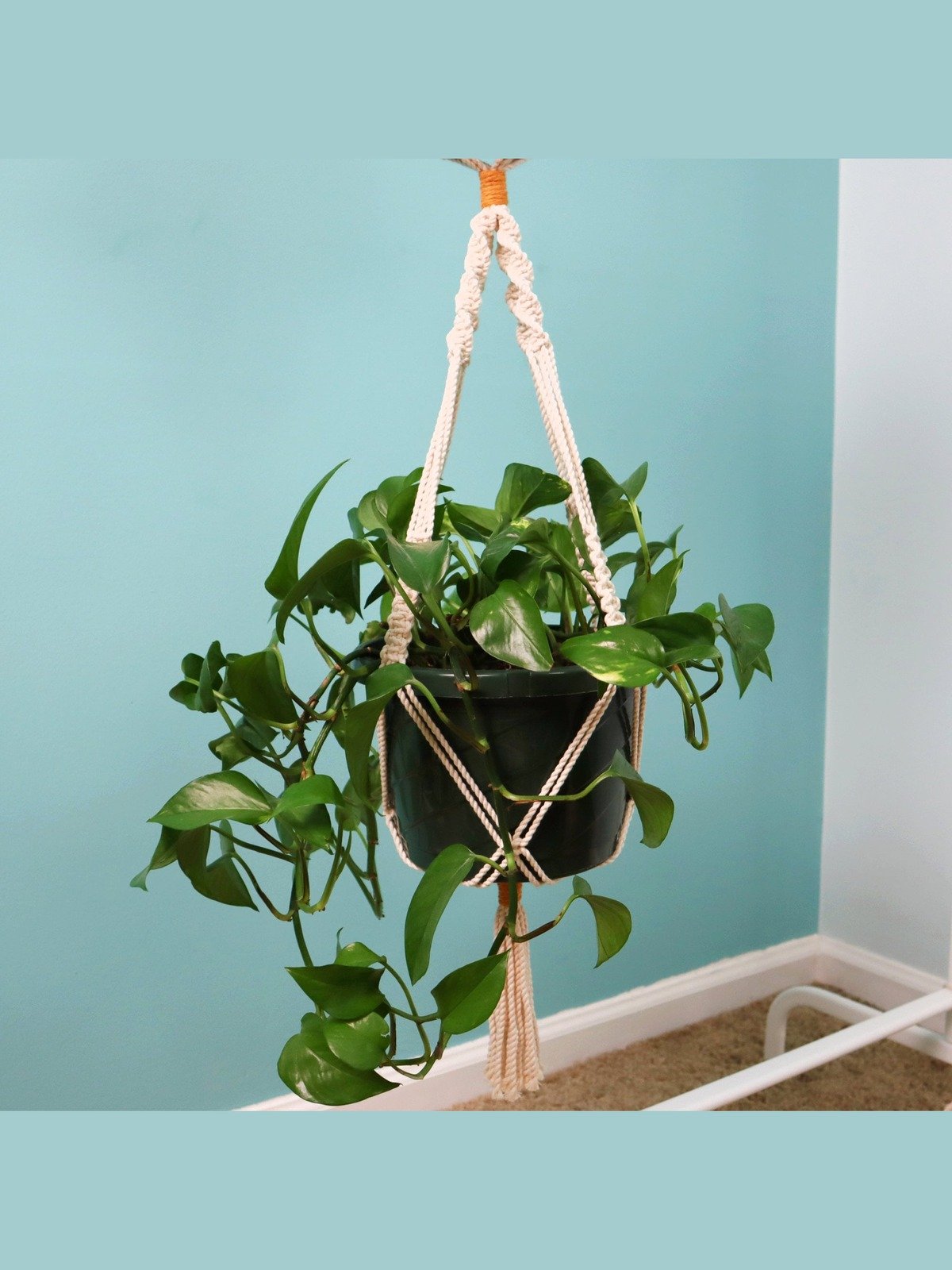 Double Macrame Plant Hanger (Digital PDF Pattern) product image (4)