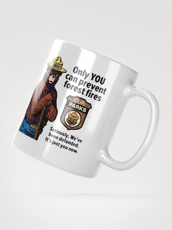 We've been DEFUNDED Smokey Our Parks Bear Coffee Tea Mug 3 SIZES! Ceramic Glossy White Cafe Cup product image (2)