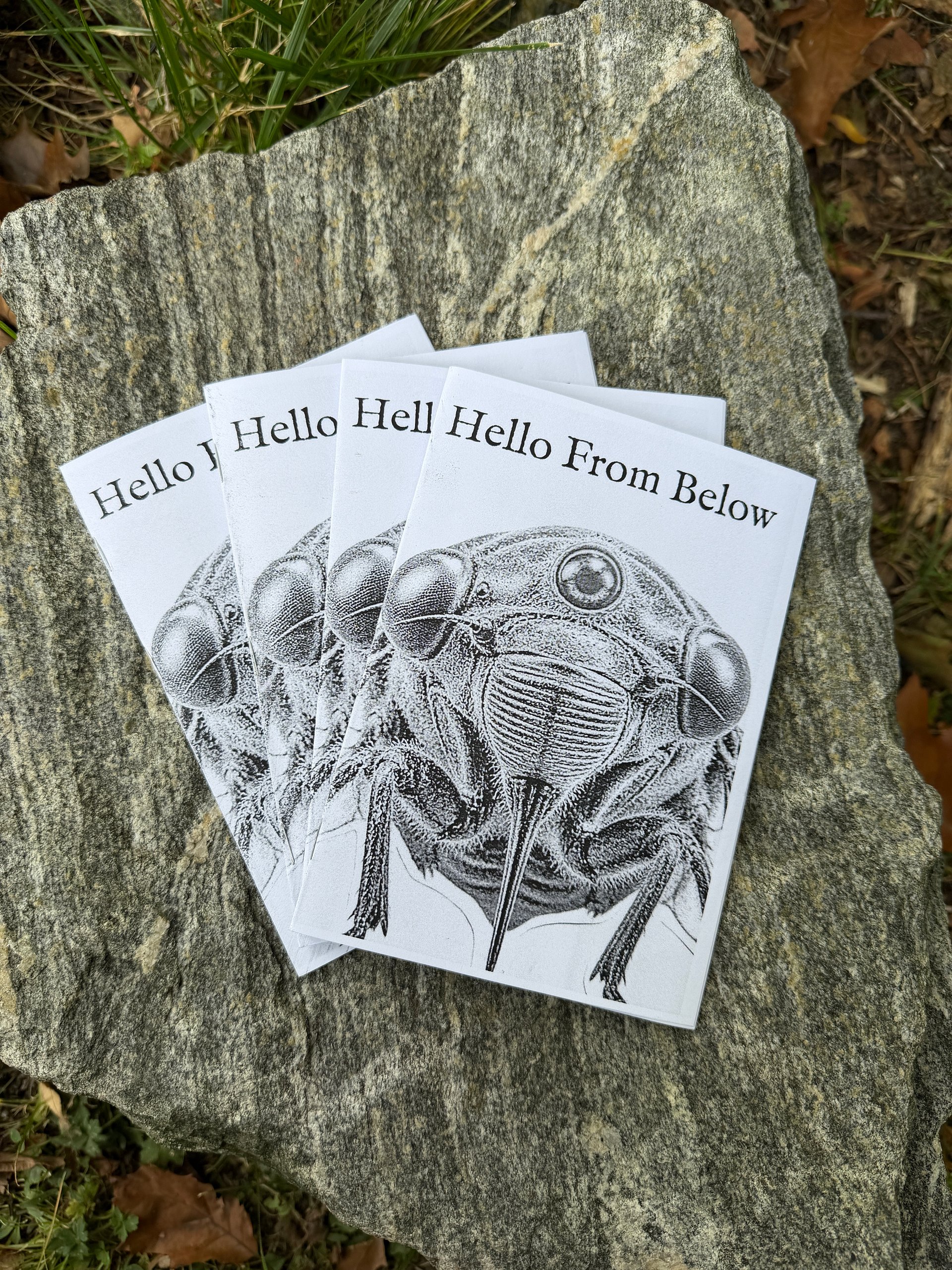 Hello From Below: A Cicada Zine product image (4)