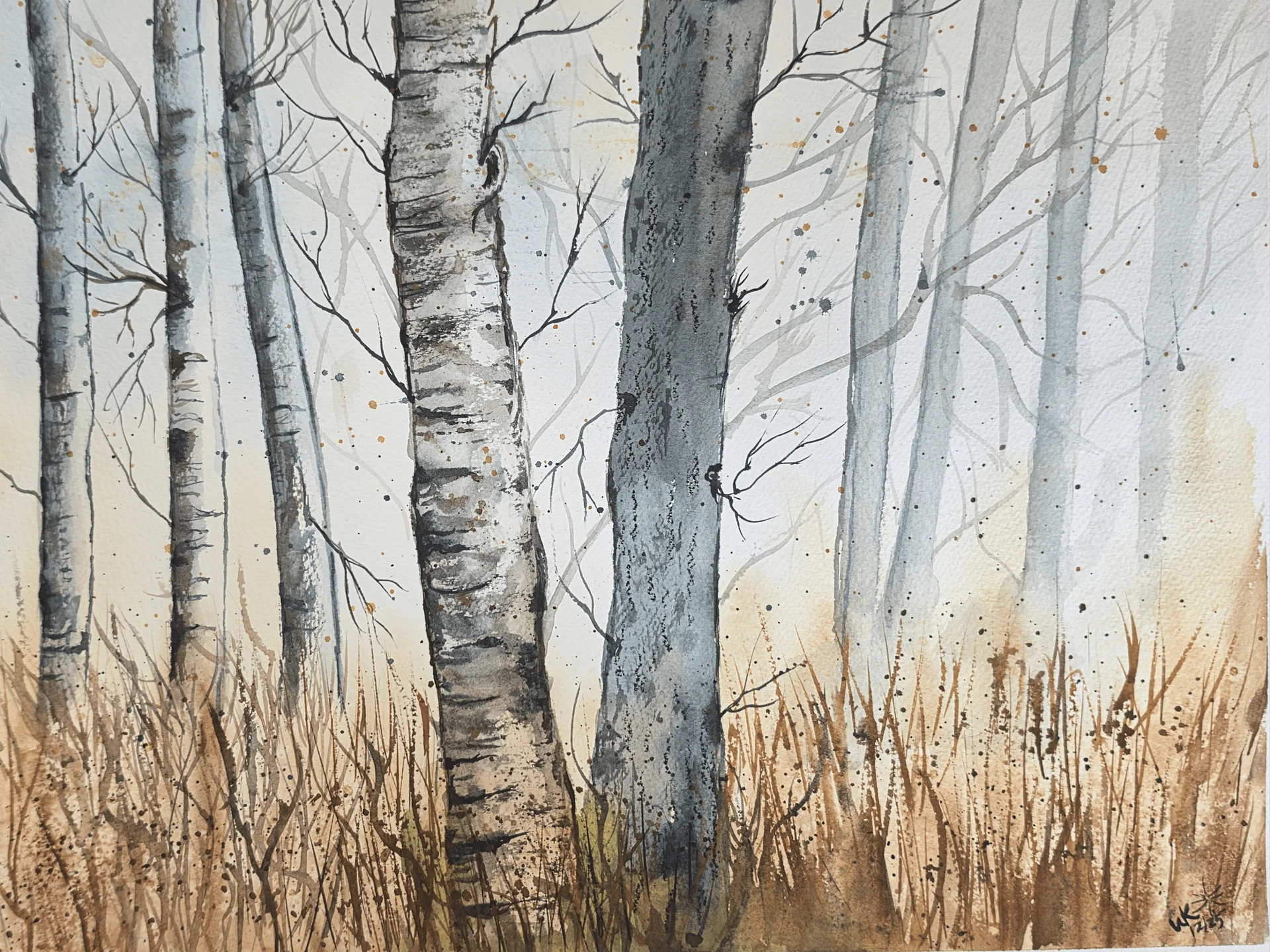 Misty Birches - Framed Poster product image (1)