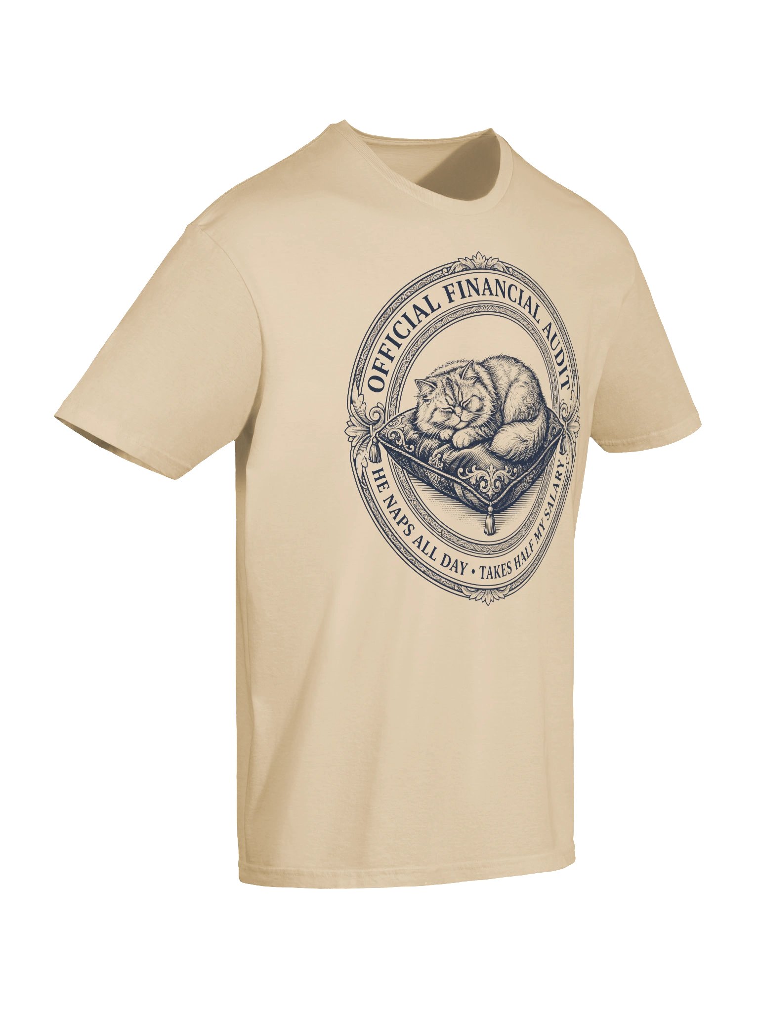 Financial Audit Cat T-Shirt product image (28)