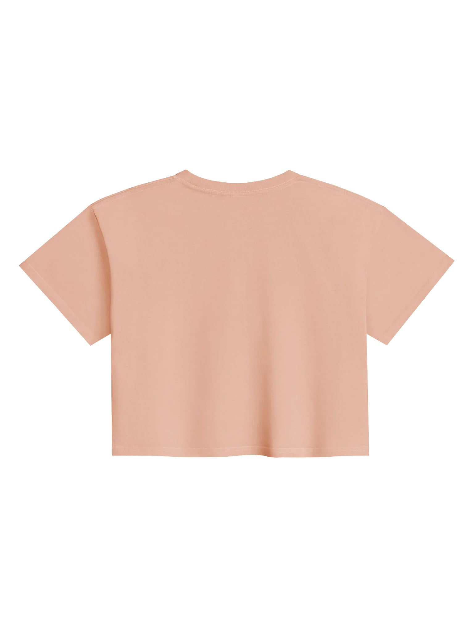The Matthew 8:26 Boxy Crop Tee product image (4)