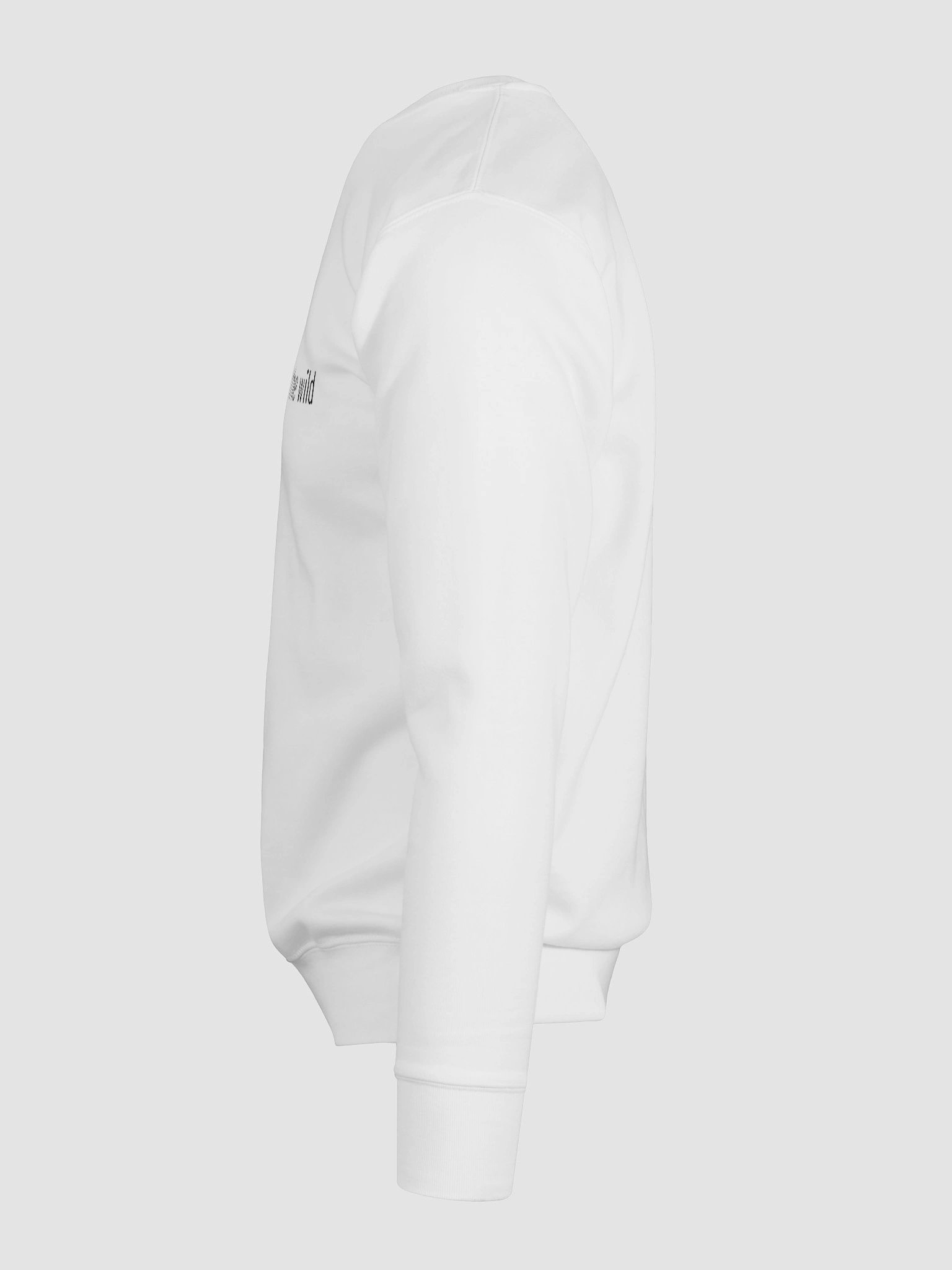 Resolver in the Wild Sweatshirt product image (10)