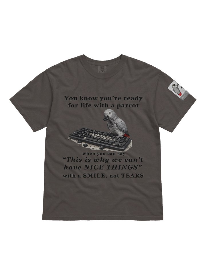 “This Is Why We Can’t Have Nice Things” Grey T-shirt product image (1)