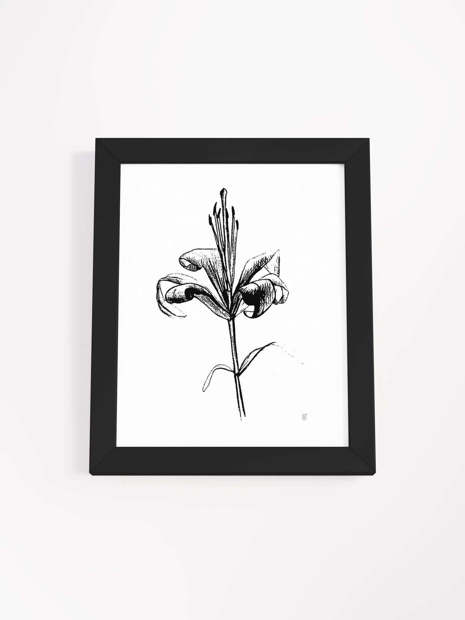 Elegant Lily Bloom Framed Poster - Fine Flower Light product image (3)