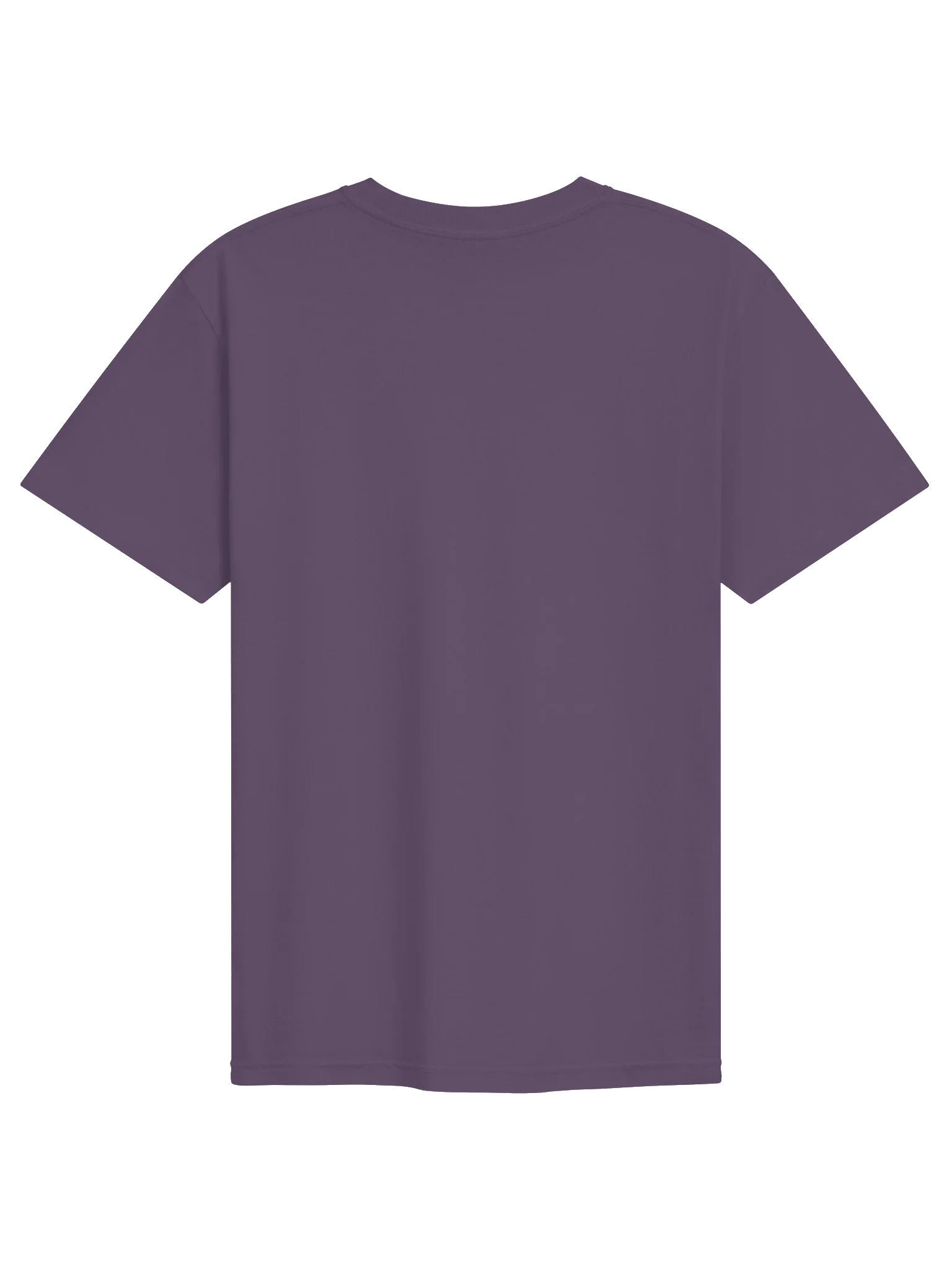 Embroidered "I Will Succeed" Tee product image (2)