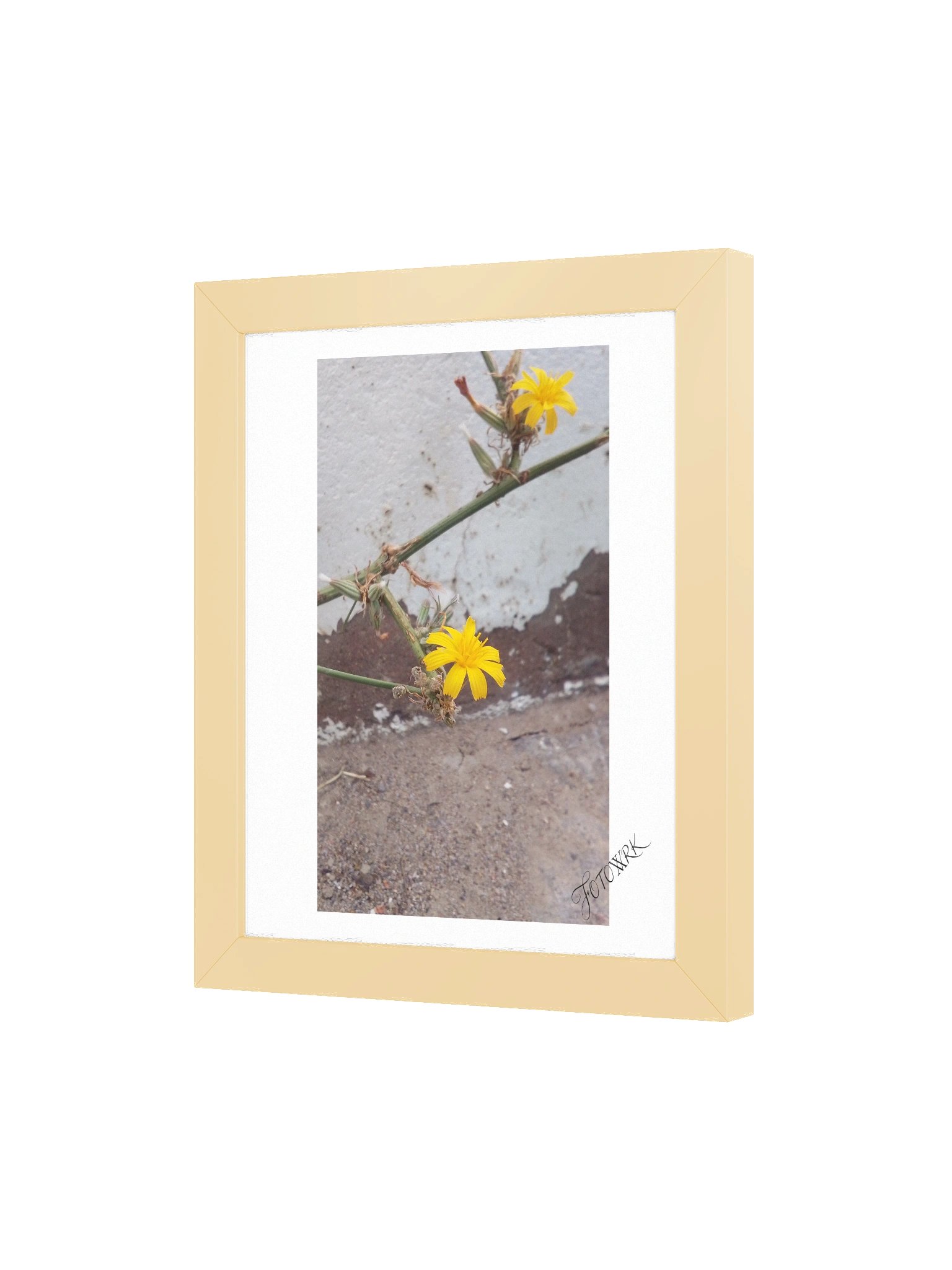 SDPD - Fine Art Matte Poster product image (16)