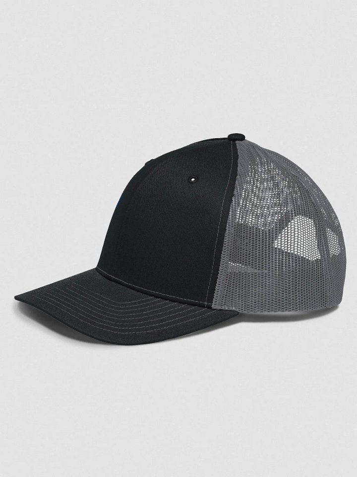 Acoustic Selection Custom Hat product image (2)