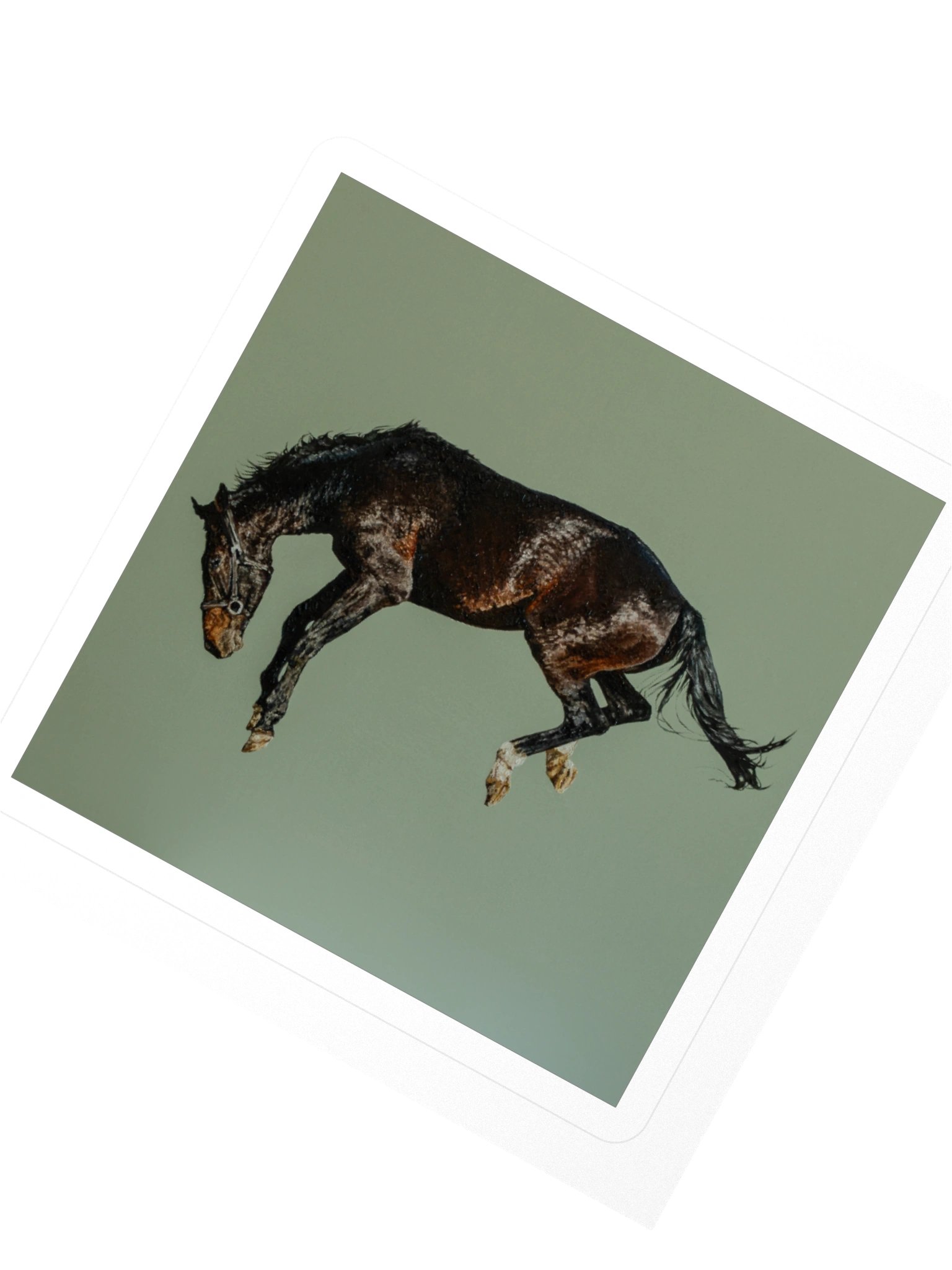 Soaring Freedom Sticker product image (2)