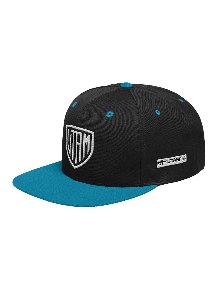 Snapback product image (1)