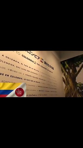 🇨🇴🇯🇵 ¡Desde Japón! ¿Desde dónde me estás viendo? #Bogota