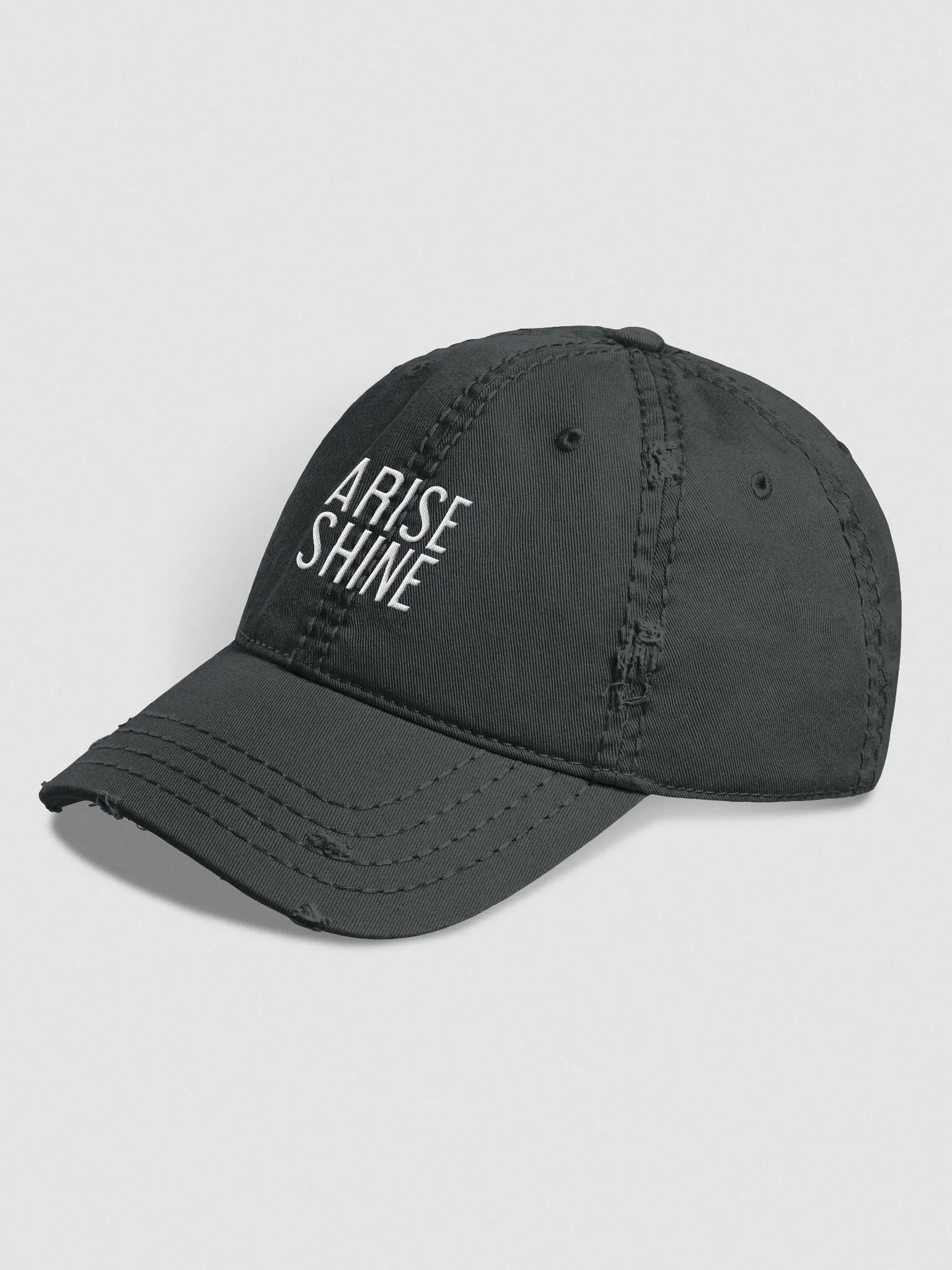 Distressed Dad Hat product image (1)