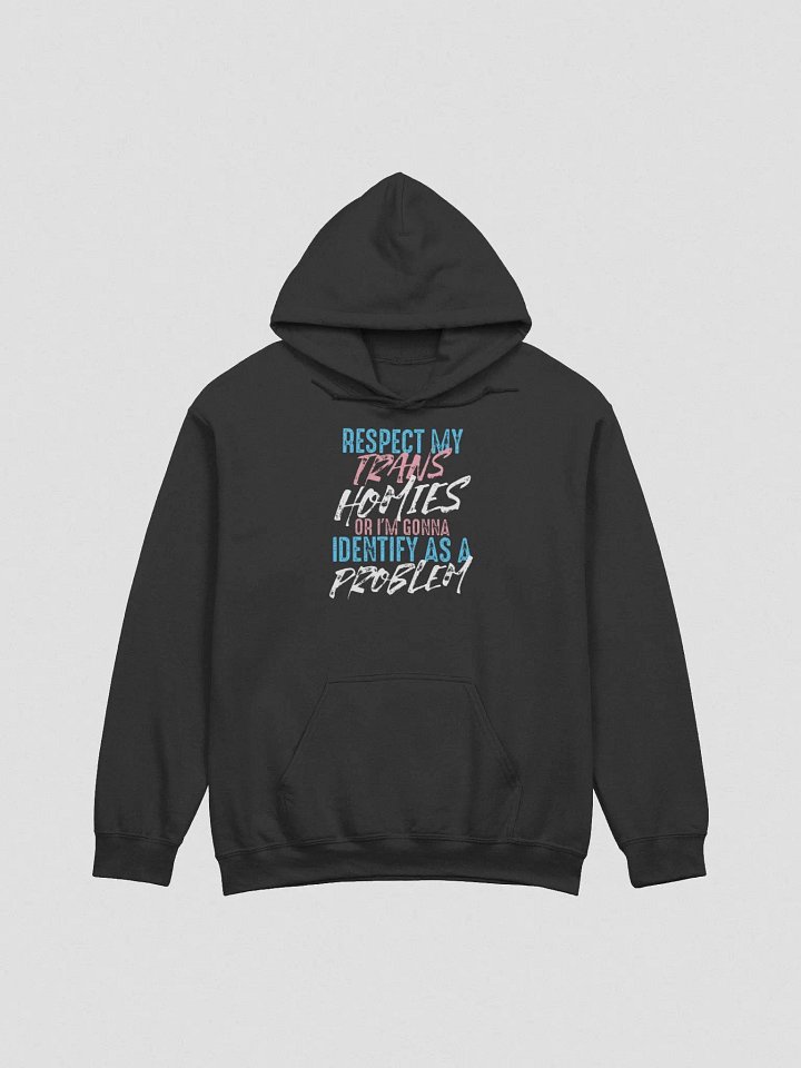 RESPECT TRANS HOMIES HOODIE CENSORED product image (1)