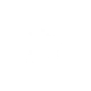 AVXiD