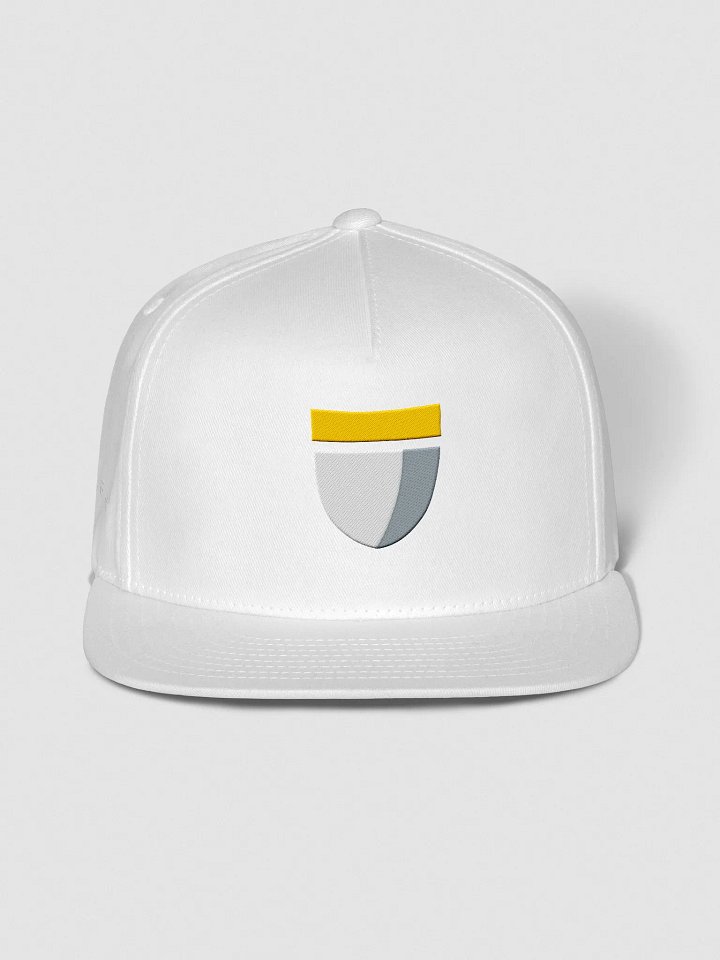 Embroidered Flat Snapback - Disc Golf Basket product image (1)