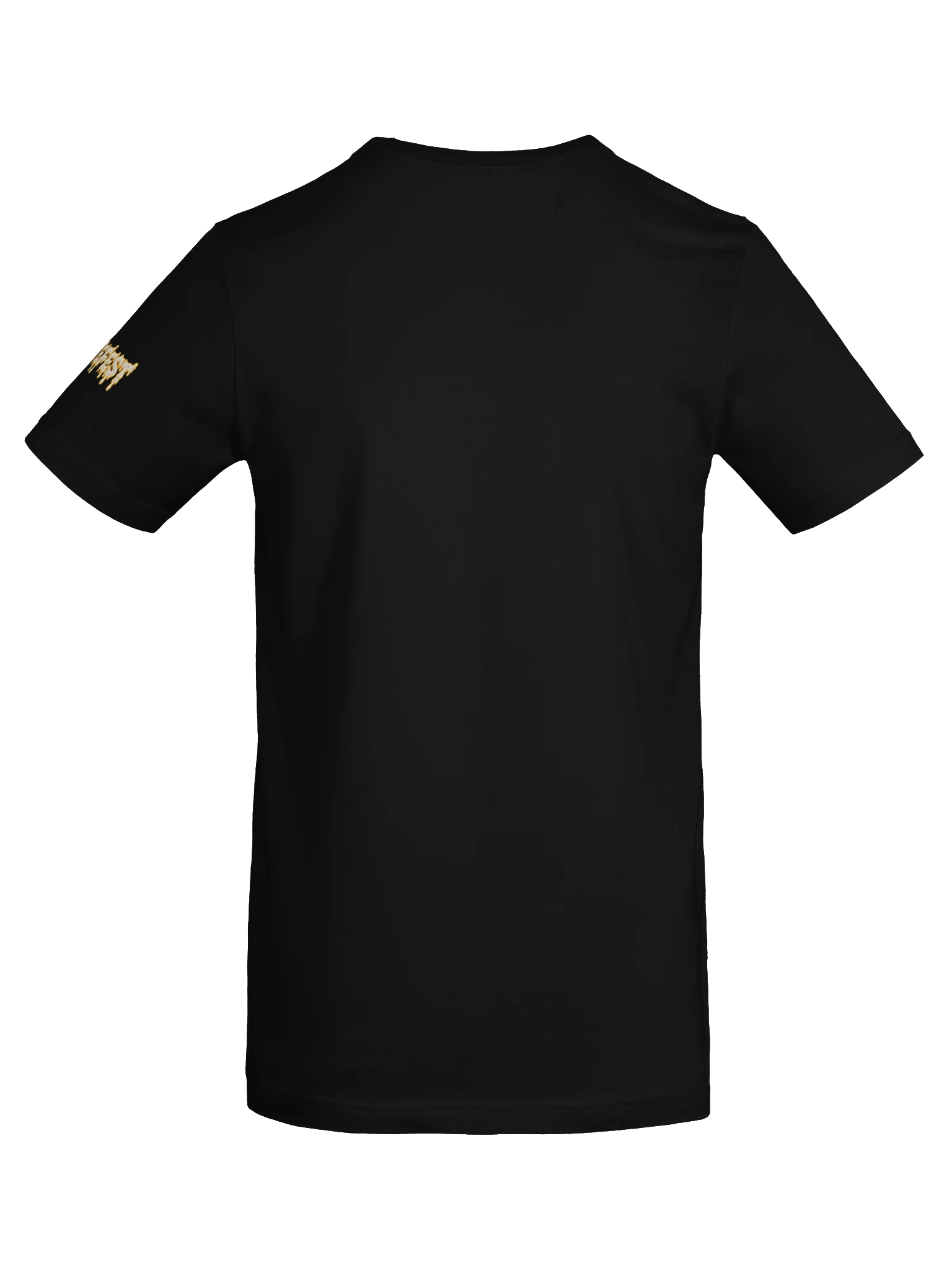SPRITEFEST "Angel Sprite" ADULT Black T-Shirt product image (6)