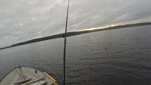 Catching smallmouth bass on rapala jerk bait, casting and retrieving.
at this point I already lost 3 🥲my nerves were shook , ...