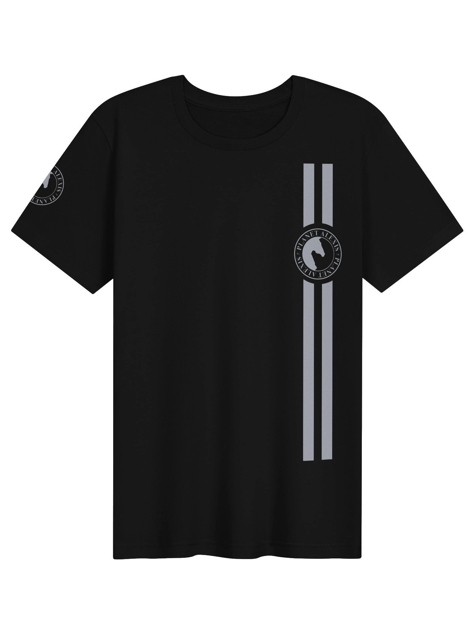 Planet Alexis Circle Emblem Tee product image (1)