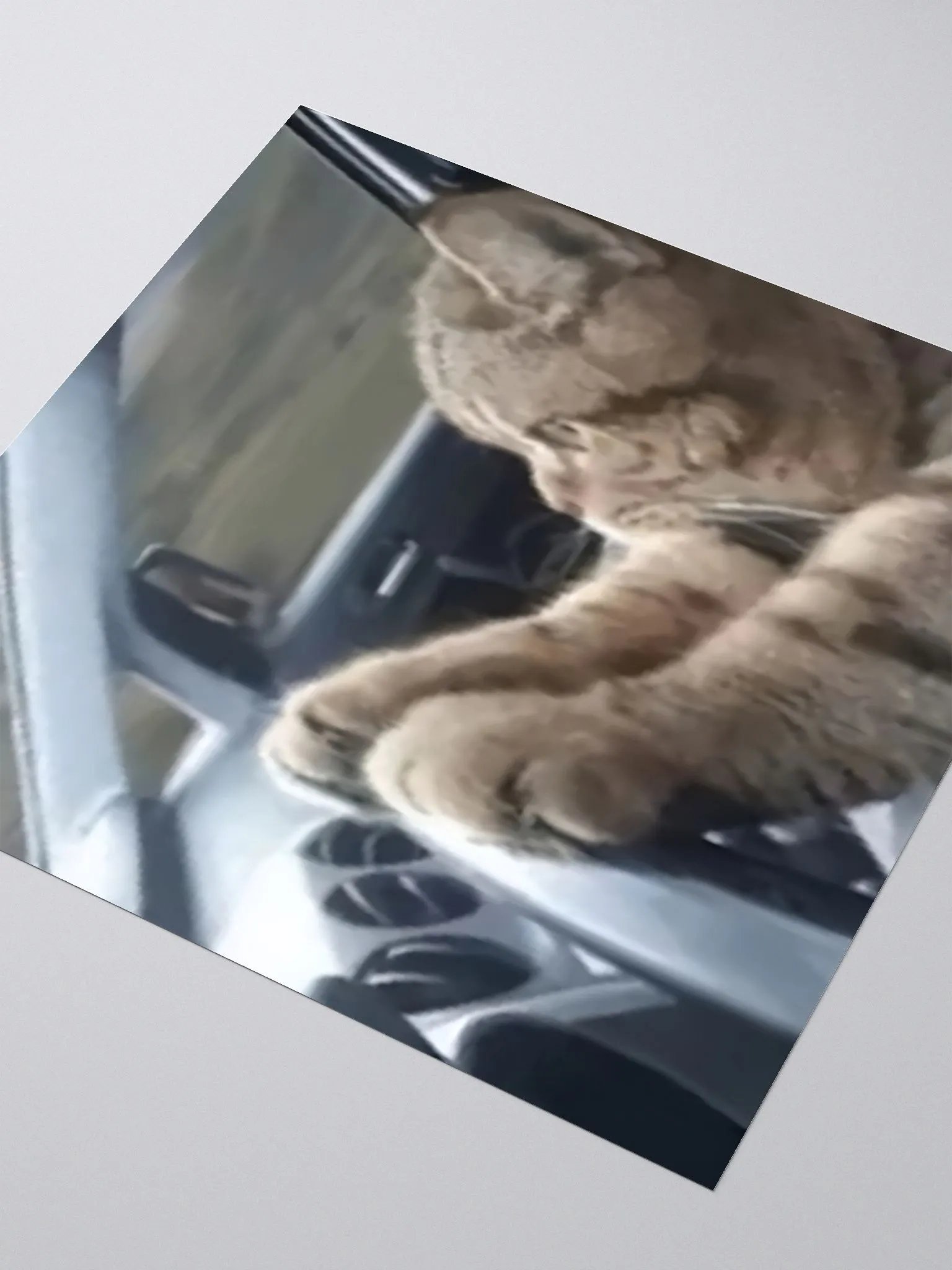 Kiss Cut Stickers: Meme Cats driving product image (3)