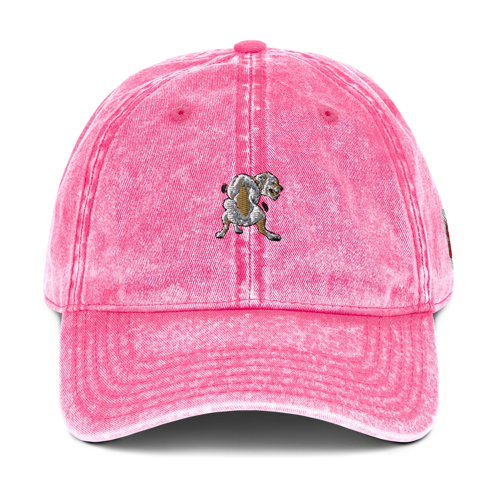 Juju Bean Off the Leash Vintage Hat product image (1)