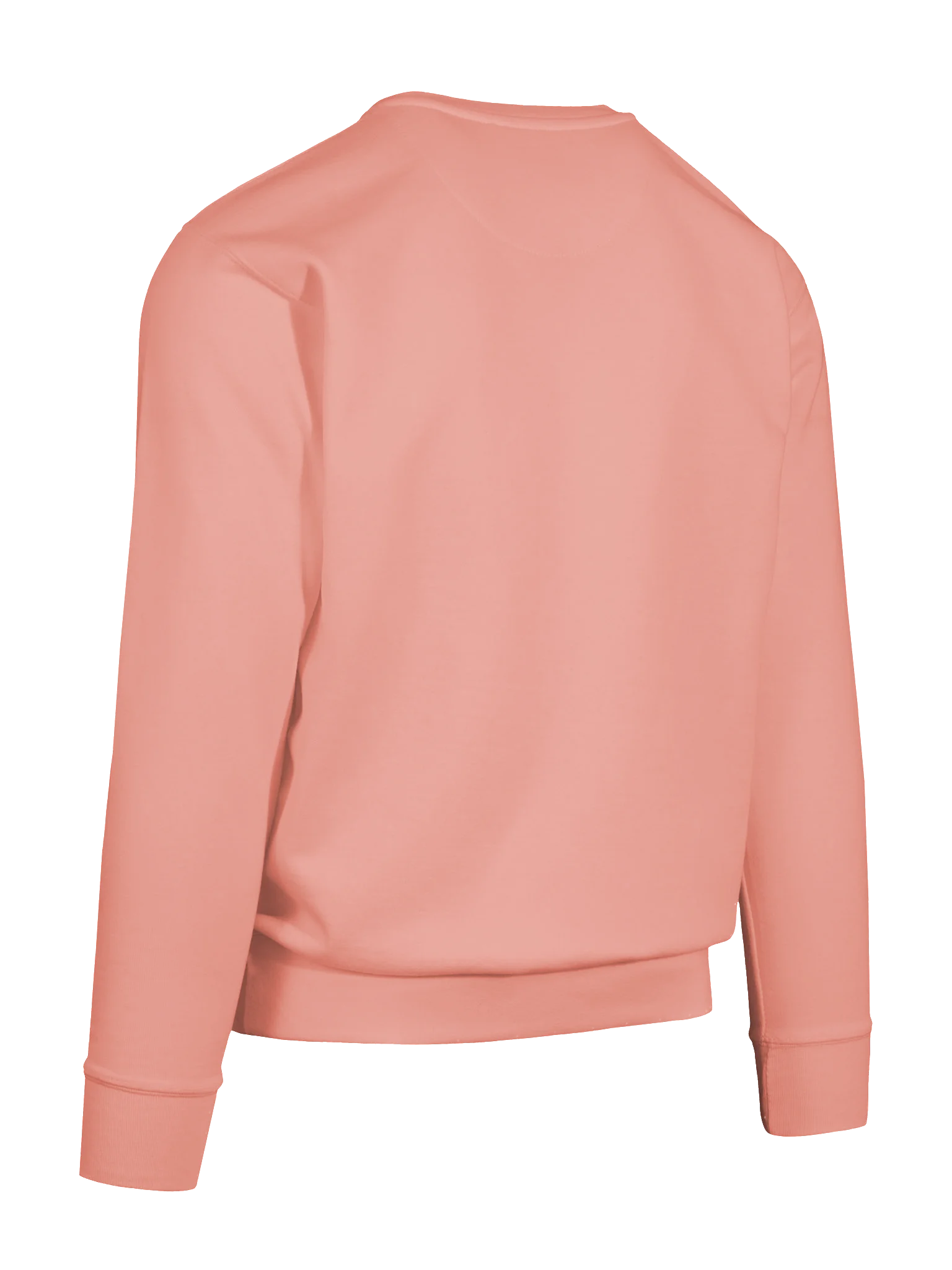 Chatty Pumpkin Premium Sweatshirt | Cozy Chatty Fall Collection product image (8)