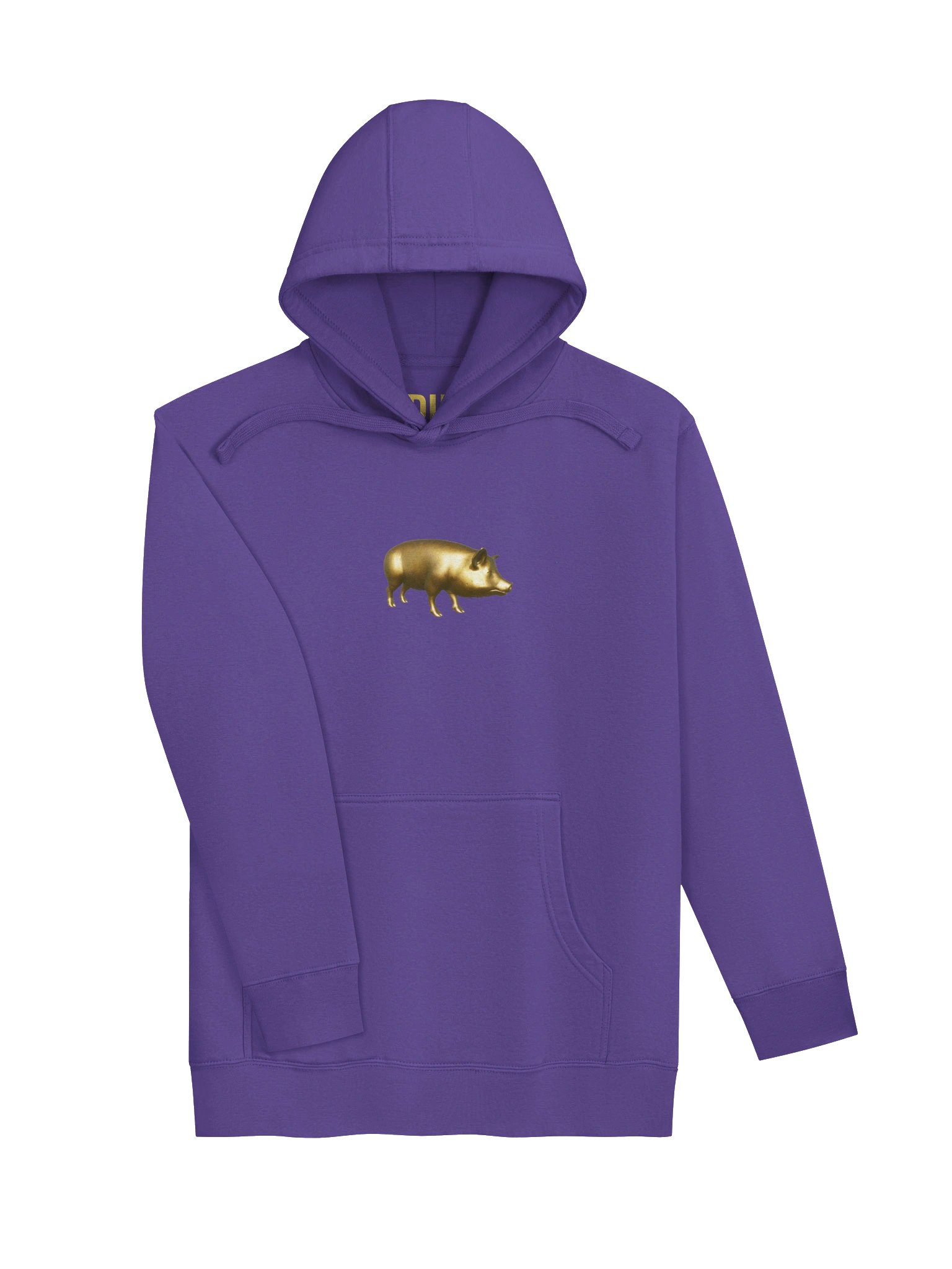 GOLD HAWG Hoodie product image (23)
