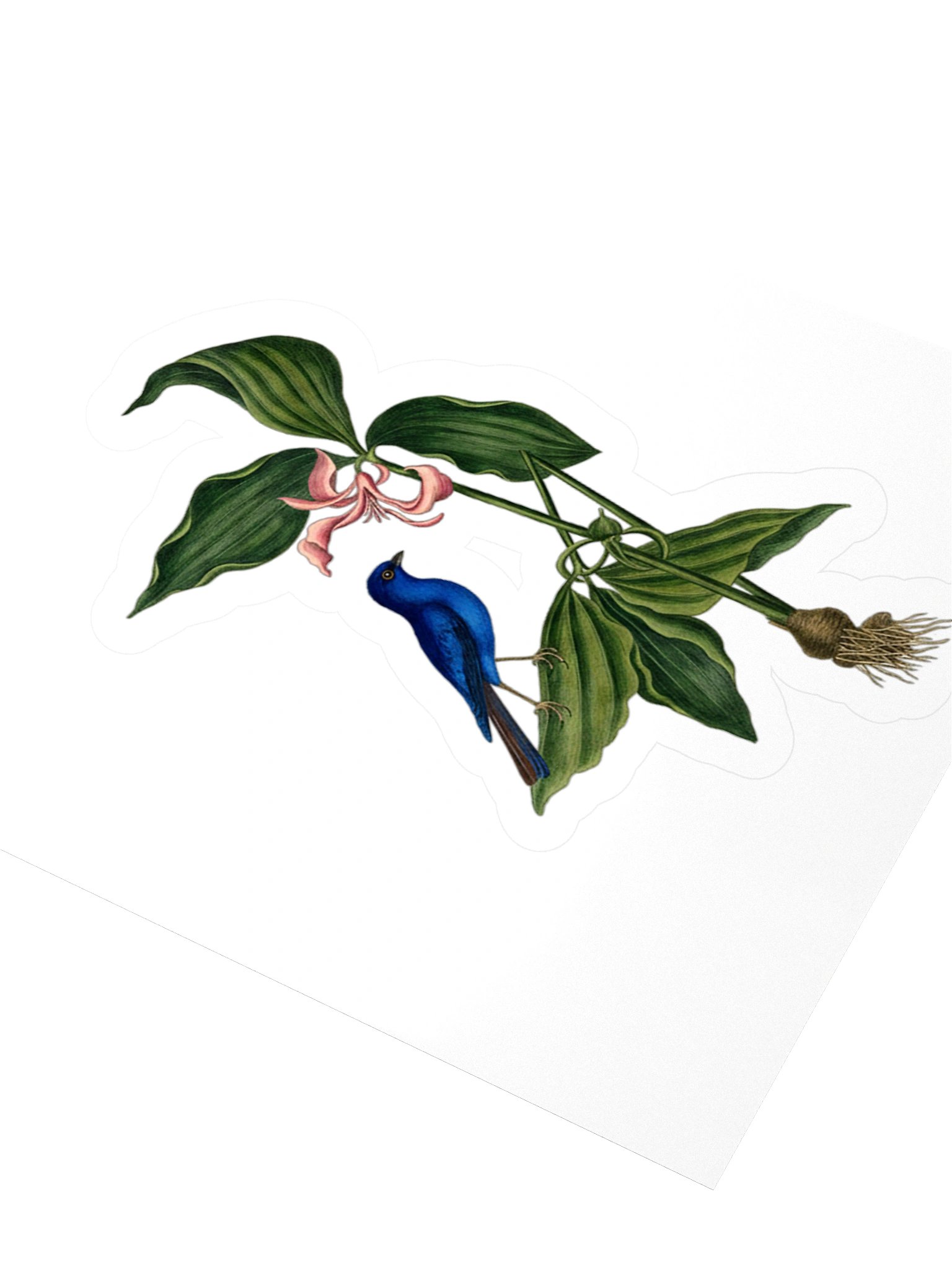 Trillium & Bunting Sticker product image (9)