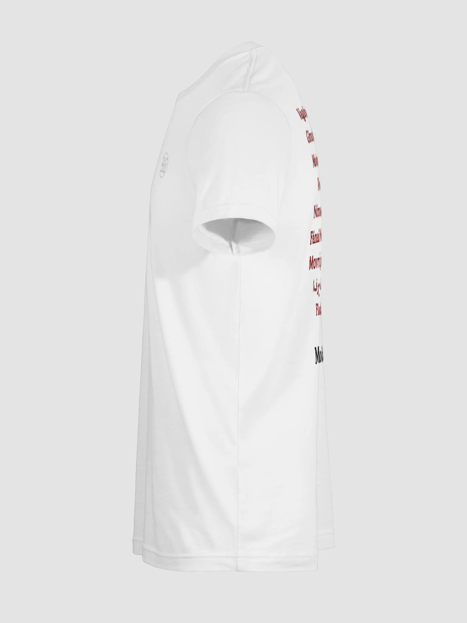 Modern Hobos Worldwide T-shirt product image (11)