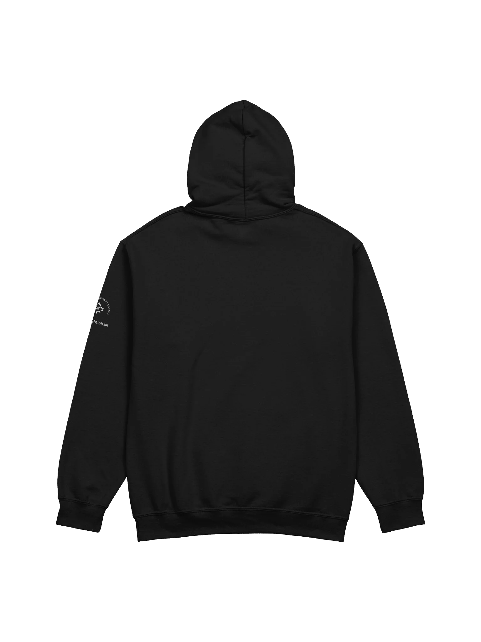 WHAT HAPPENED TO ME ? (Toronto Edition): Hoodie product image (6)