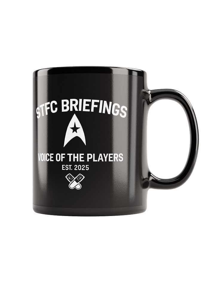 STFC Briefings EST Mug product image (1)
