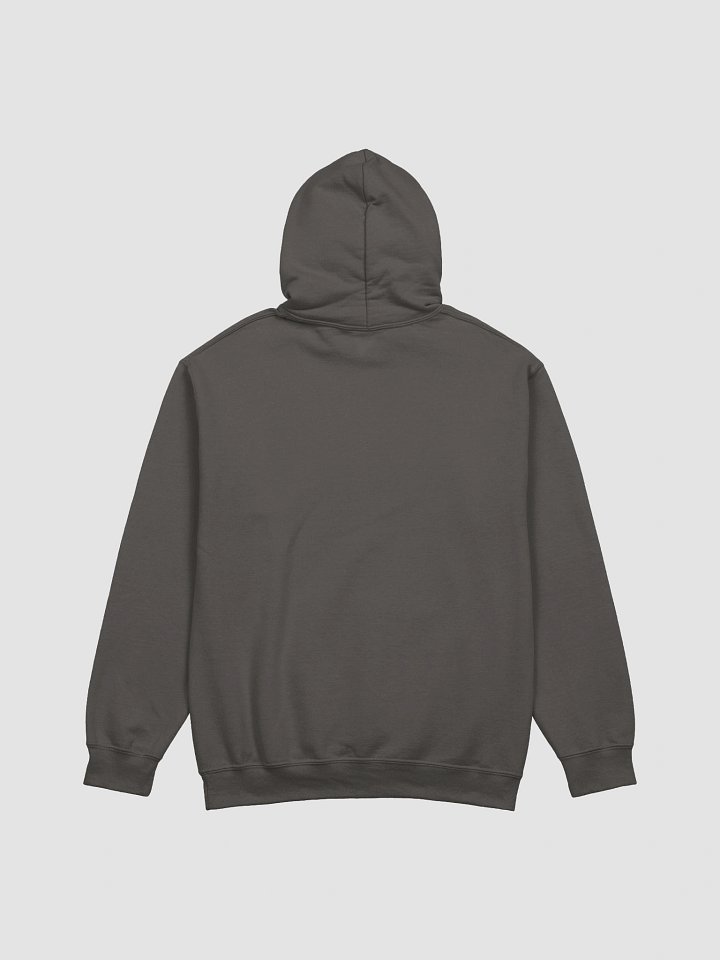 OKACHOBI HOODIE product image (5)