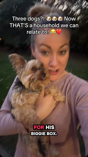 #fyp #dogsofinstagram #yorkielovers #yorkiegram #dogmom