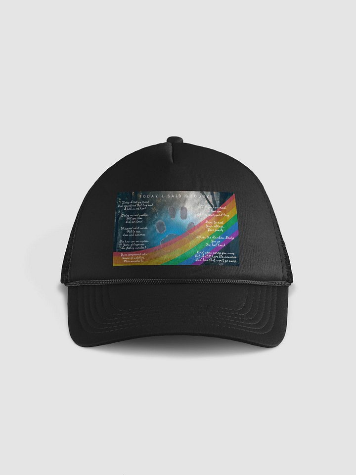 Today I Said Goodbye product image (2)