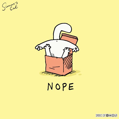 Monday Mood! 😾