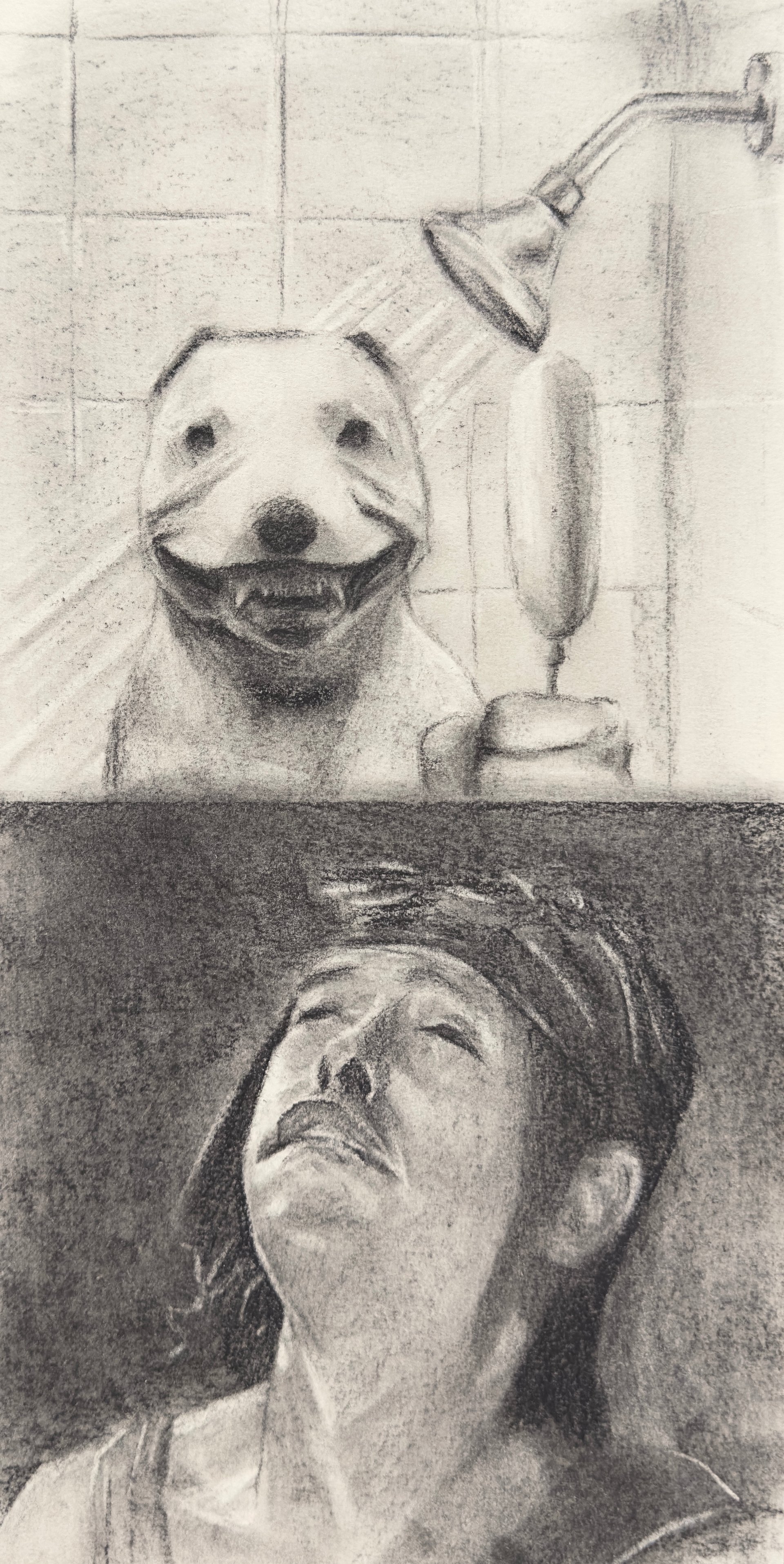 Shower Dog product image (1)