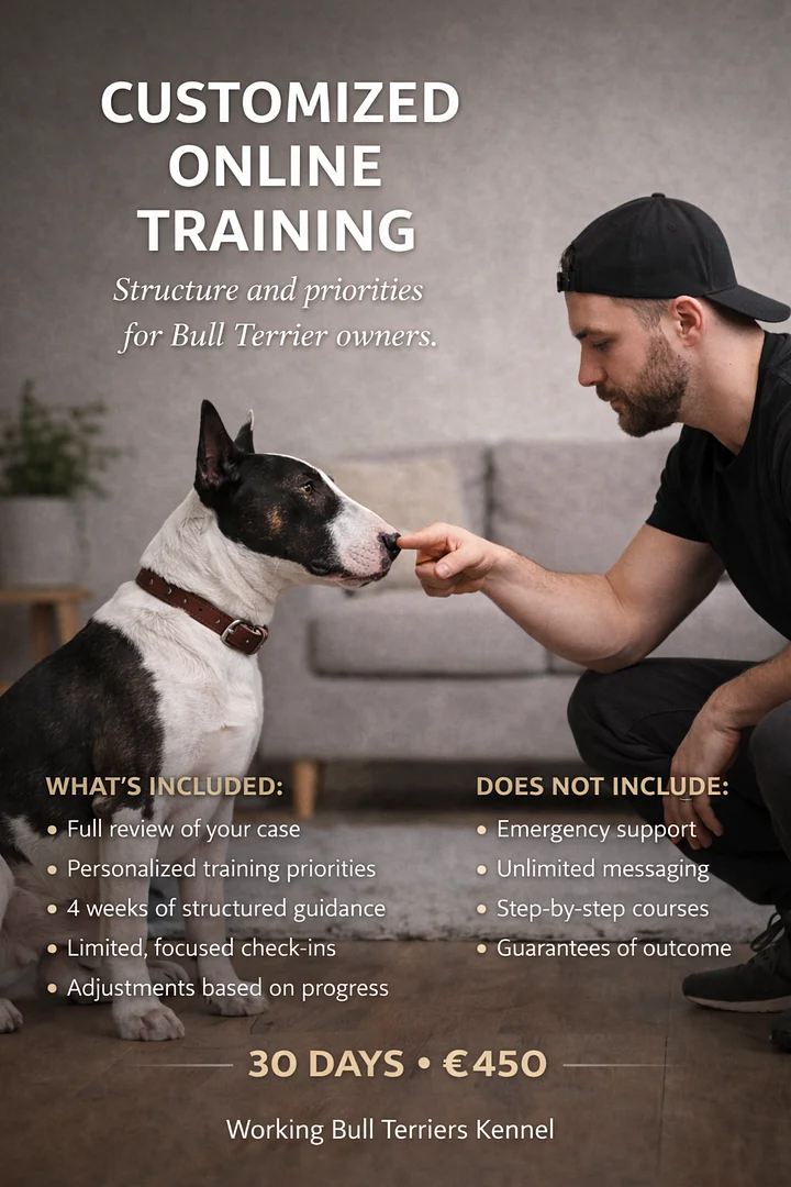 Customized Online Training - 30 Days product image (1)