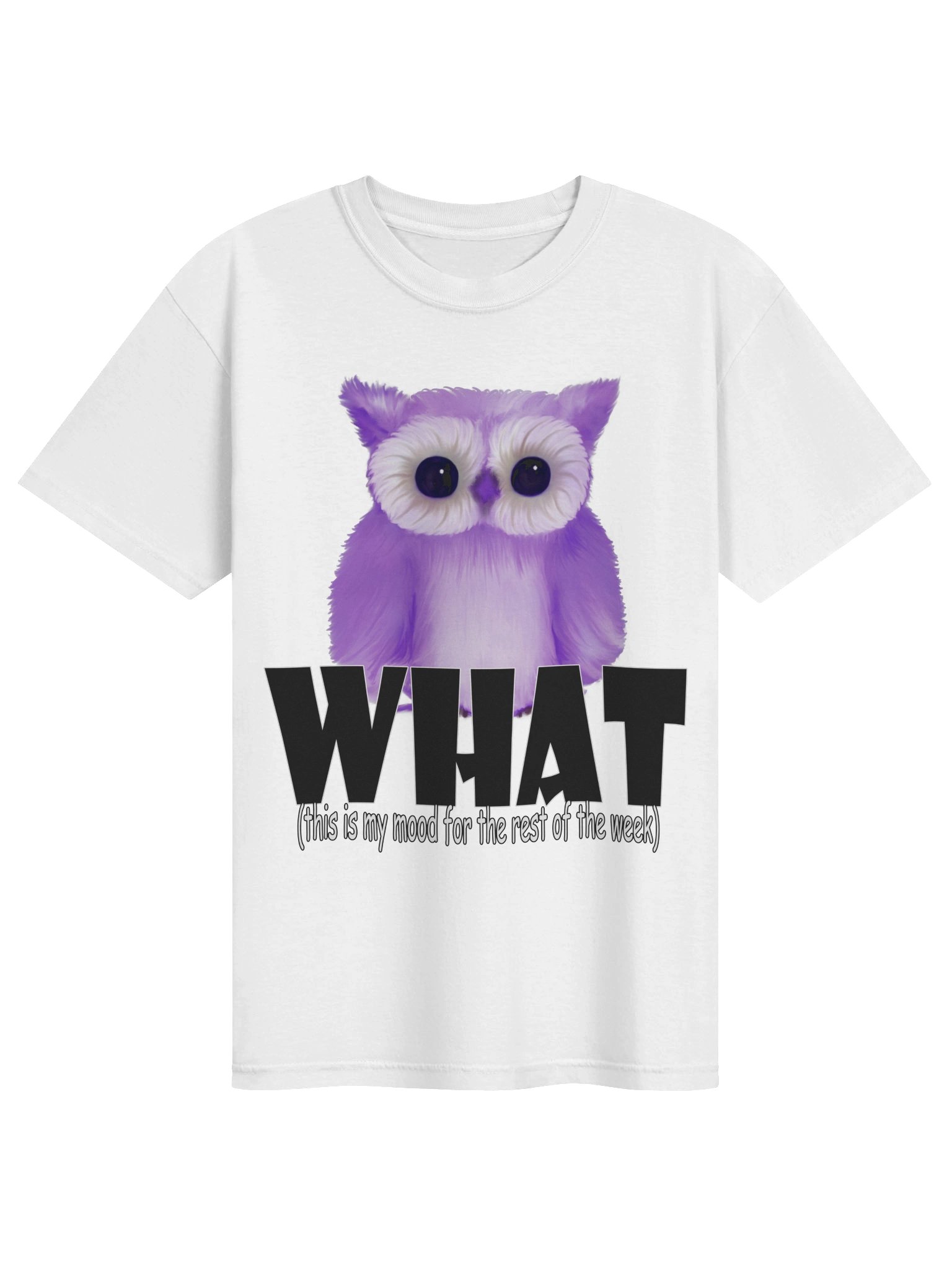 Owl "WHAT" T-Shirt. Men's Comfort Colors Garment-Dyed Heavyweight T-Shirt product image (1)