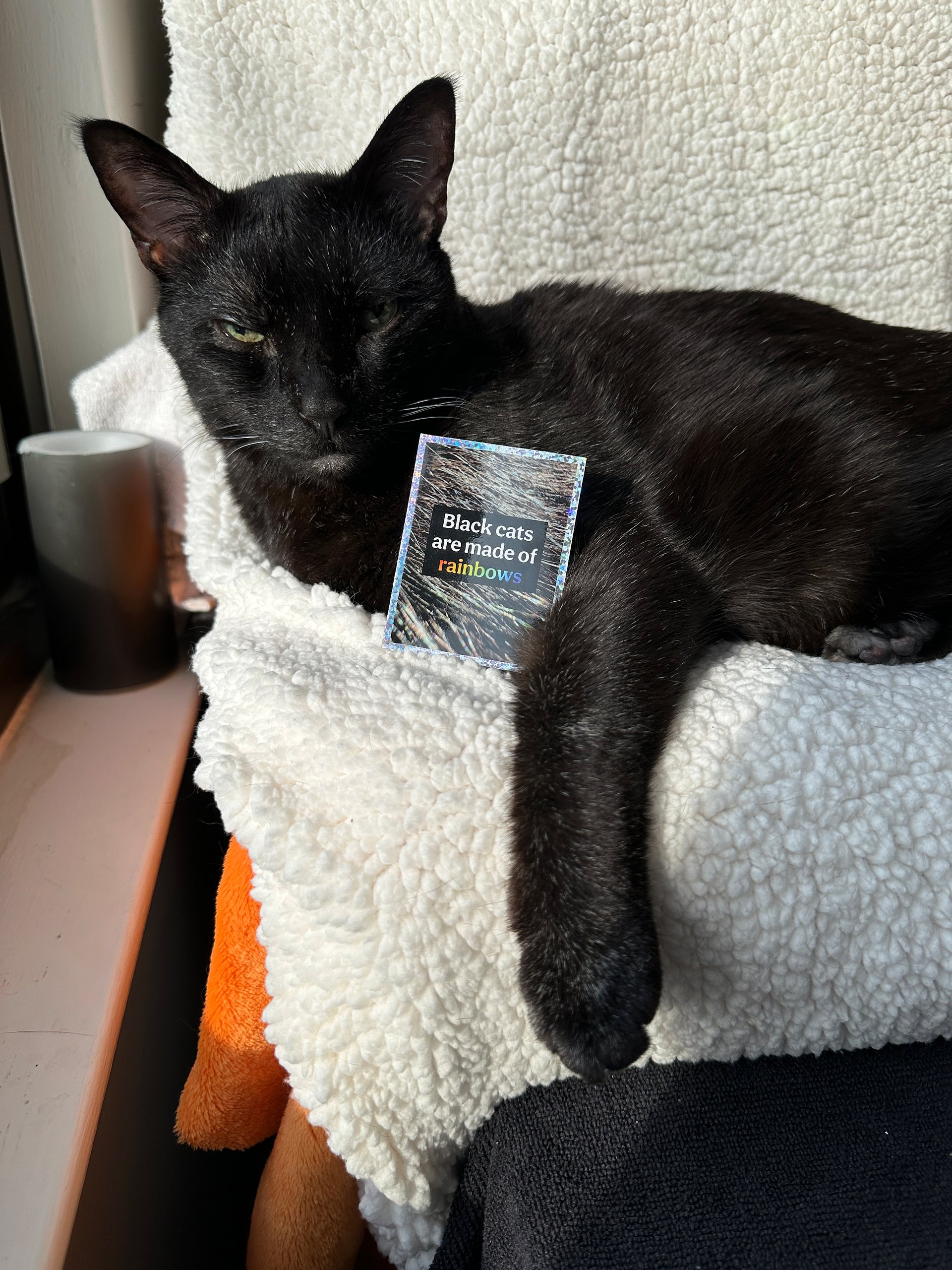 Black Cats Are Made of Rainbows sparkly sticker product image (2)