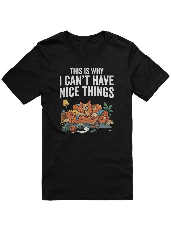This Is Why I Can’t Have Nice Things product image (1)