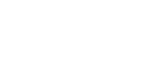 BLVRS | Store