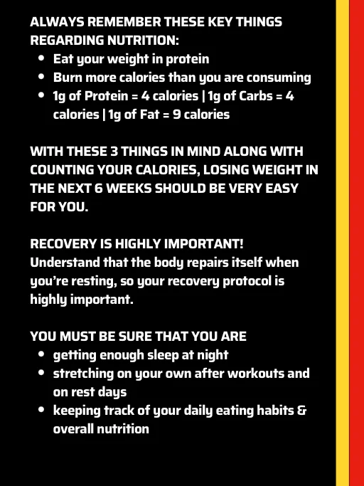 RBT: Basic Boxing Training 6 Week Program Lvl 1 (Home Edition) product image (3)