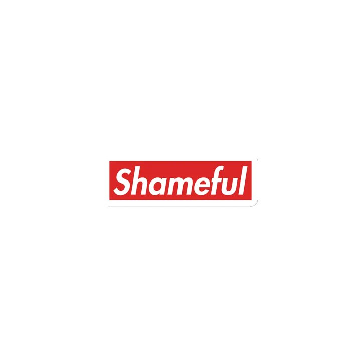 Shameful Magnet product image (1)