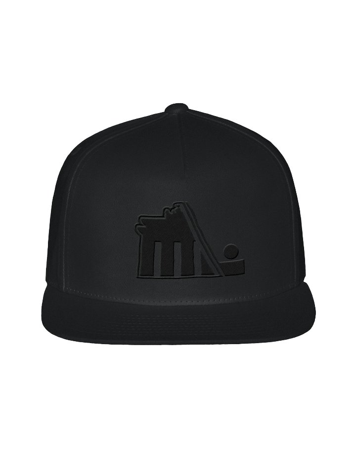 BSH Hat Black on Black product image (1)