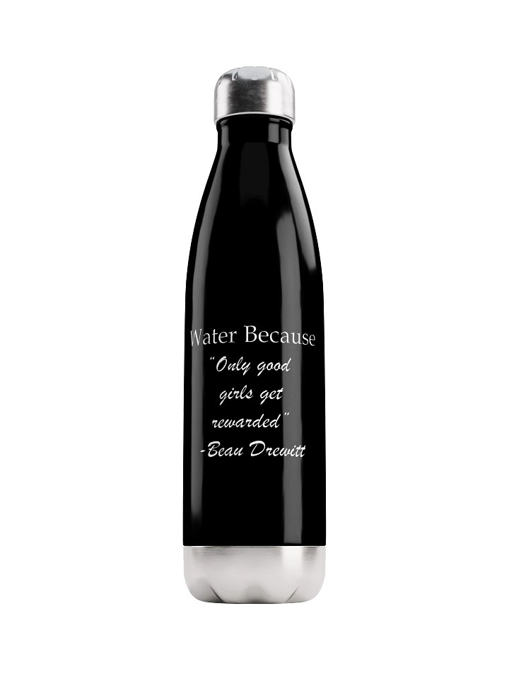 Stake Me If I'm Wrong Water bottle product image (1)