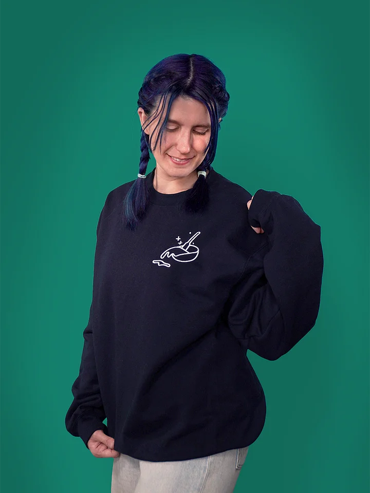 The Amateur Embroidered Sweater (Dark) product image (1)