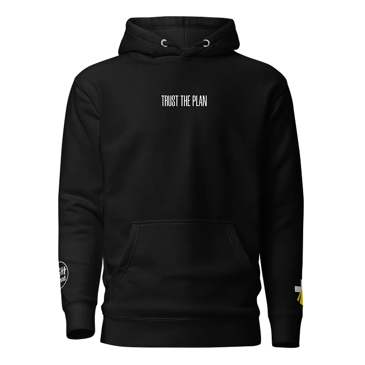 Hoodie Trust the plan product image (1)