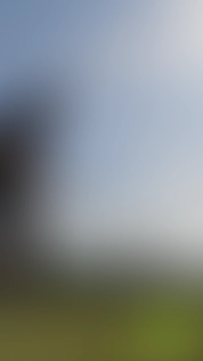 Video thumbnail background