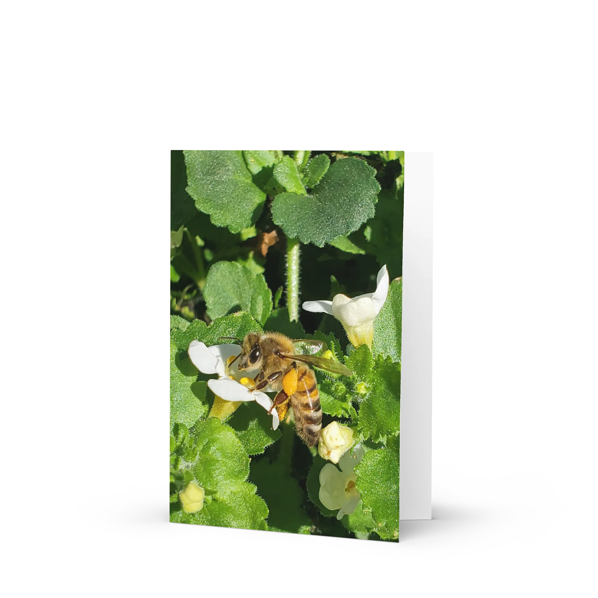 Fetching Pollen Bee Greeting Card product image (1)