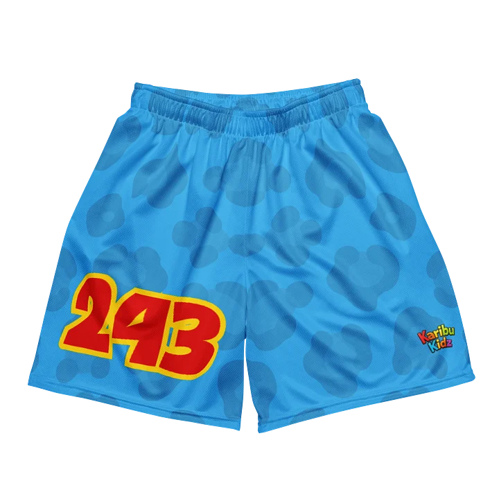 BLUE RIVER Tobeta Bango™ 243 Street Shorts product image (1)